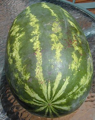 Frugt af Vandmelon.