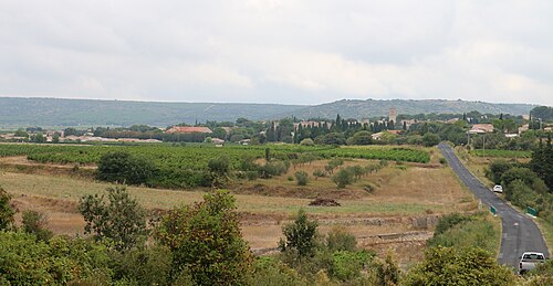 Rideau métallique Vendémian (34230)