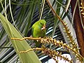 Kannur, Kerala, India