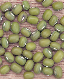 Vigna radiata, groene mungboon.jpg