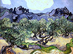 Olive Trees with the Alpilles in the Background