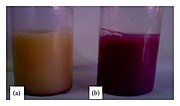 Thumbnail for File:Visual-observations-of-AuNPs-produced-by-whole-cell-Geotrichum-candidum.jpg