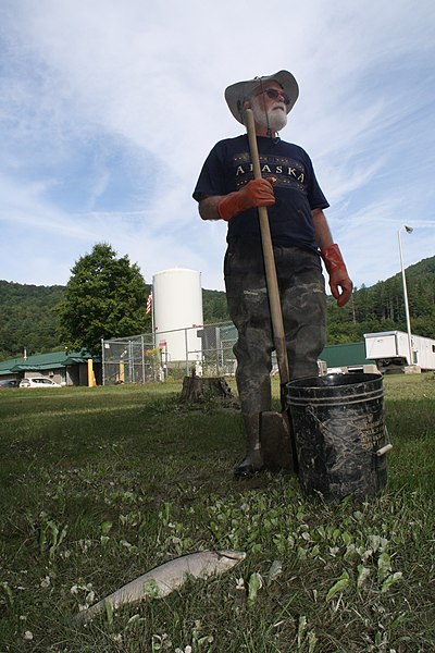 File:Volunteer cleaning up dead fish (6106627022).jpg