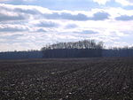 Jackson Township, Pickaway County, Ohio