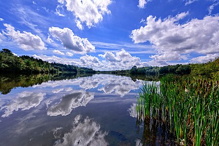 Wampatuck Pond 1