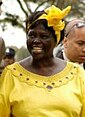 Wangari Maathai portrait by Martin Rowe.jpg