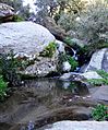 Watercourse. Mahieddine Boumendjel.JPG