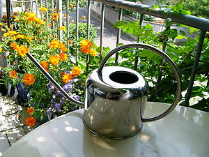 Watering Can