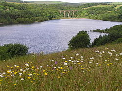 Езеро, заобиколено от полета и дървета, с отдалечен железопътен виадукт