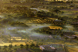 a photograph of fields in Uruzgan province, where Applicant S originated from before arriving in Australia Wheat fields in Uruzgan province.jpg