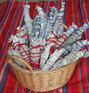 Smudging Native American and First Nations ceremony