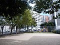 Yakuin Kinen Park, Chuo-ku, Fukuoka 薬院記念公園、福岡市中央区