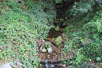 The Zellergraben shortly before it flows into the Main