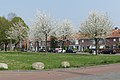 Zustersveld Breda P1360465.jpg