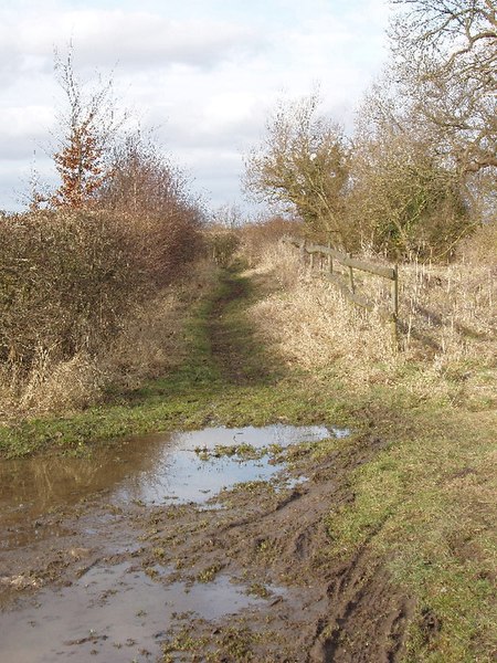 File:"Other route with public access" to Waterperry Common - geograph.org.uk - 1175397.jpg