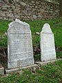 English: Jewish cemetery in Kolinec, Klatovy District, Czech Republic Čeština: Židovský hřbitov v Kolinci, okres Klatovy