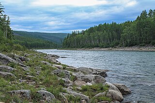 <span class="mw-page-title-main">Mamakan (river)</span> River in Irkutsk Oblast, Russia