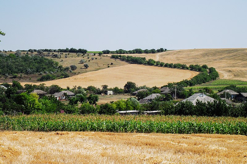 File:От Владимировки, с постепенным подъёмом на холм - грунтова - panoramio.jpg