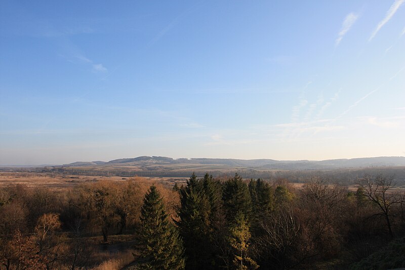 File:Панорама від Олеського замку.jpg