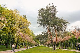Парк в 2019 году