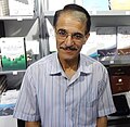 صورة مصغرة لـ علي أبو زيد