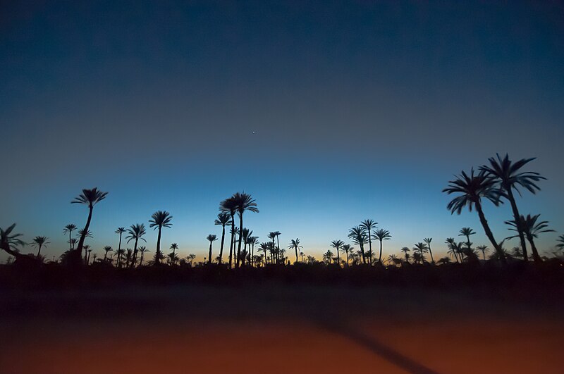 File:06052012-Palmeraie Marrakech by night (7157746578).jpg