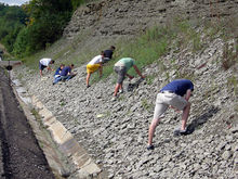 College students collecting fossils as part of their invertebrate paleontology course. This is a roadside outcrop of Ordovician limestones and shales in southeastern Indiana. 07PaleoFTb11.JPG