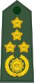 大将