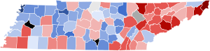 1872 Tennessee at-large congressional district election by county.svg