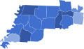 2006 TN-08 election