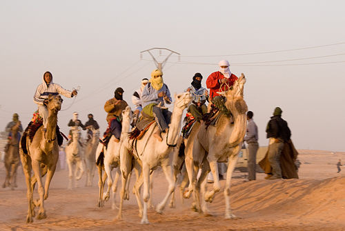 Пустынные бега. Хасси-Мессауд. Мессауд Алжир. Camel Race. Скачки на верблюдах.