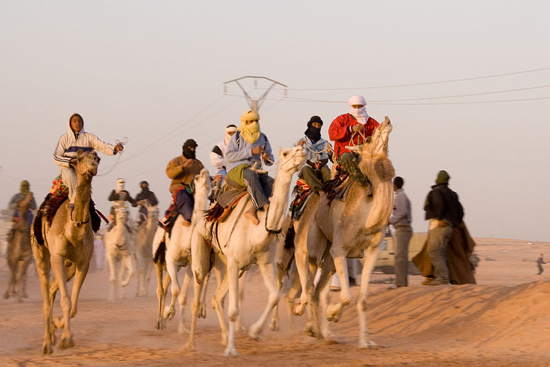 File:20070227 OUARGLA Camel Race.jpg