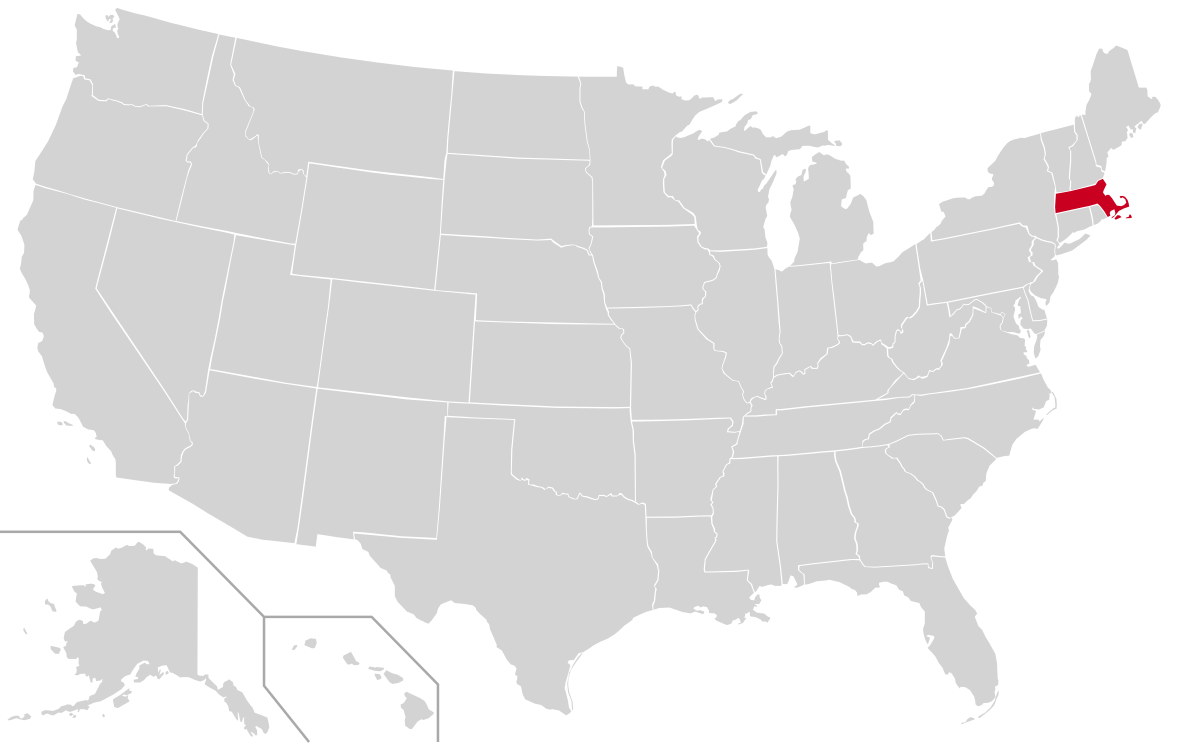 2009 United States elections - Wikipedia