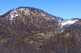 2011 03 18 monte tovo de la tortignaiga.jpg