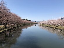 弘前さくらまつり、朝の西堀