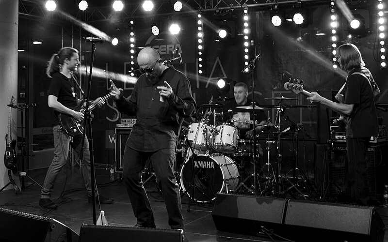 File:25 Jahre Lizard-Band-Jubiläum 2015.JPG