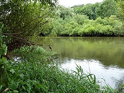 (LSG:BW-4.25.129)_Obermarchtal. Danube in Baden-Württemberg