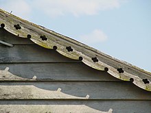 Decorative bargeboards 368 - Beulah (5045426b10).jpg