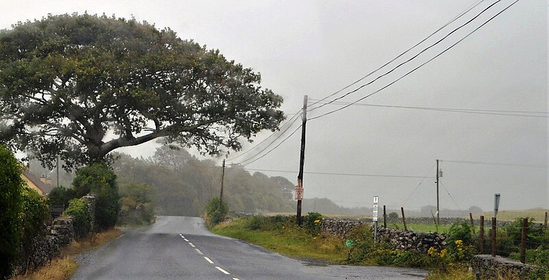 File:A wet day on the R300 - geograph.org.uk - 6019812.jpg