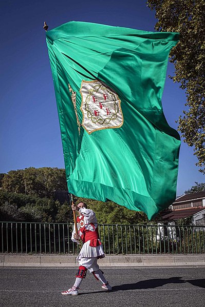 File:Abanderado San Fermín de Aldapa.jpg