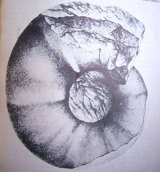 <i>Abrytasites</i> Genus of molluscs (fossil)