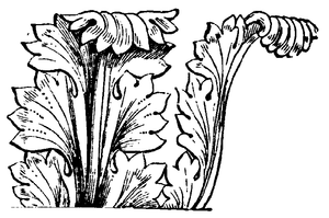 Ornament Akanthus: Die Natur als Vorbild: Das Akanthus-Blatt, Geschichte und Vorkommensarten, Akanthus auf Porzellan