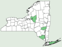 Acer rubrum var trilobum NY-dist-map.png