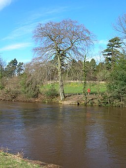 Across the Nidd - geograph.org.uk - 144638