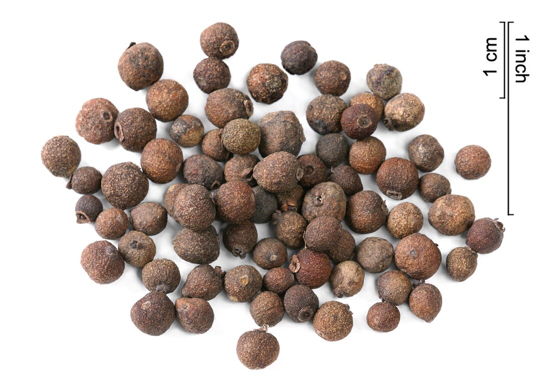 File:AllspiceSeeds.jpg