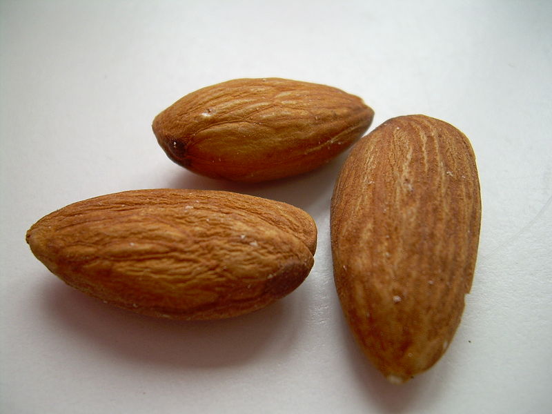 800px-Almonds02.jpg