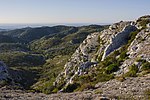 Parc naturel régional des Alpilles