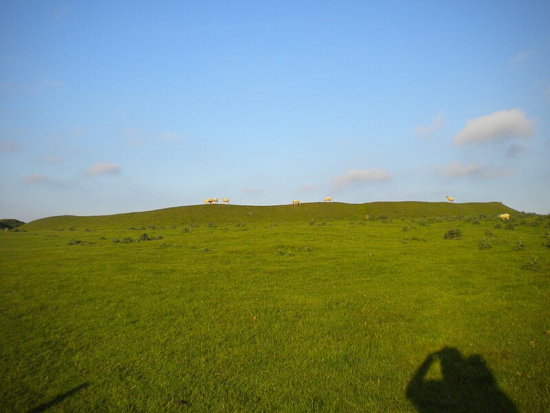 File:Arbor Low henge (3) - geograph.org.uk - 3544427.jpg