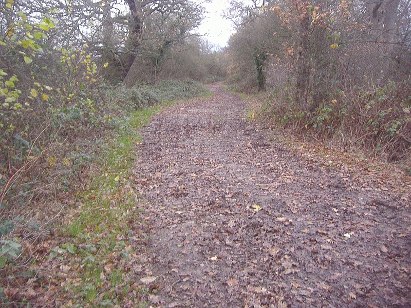 File:Arkley Lane bridleway - geograph.org.uk - 2730979.jpg