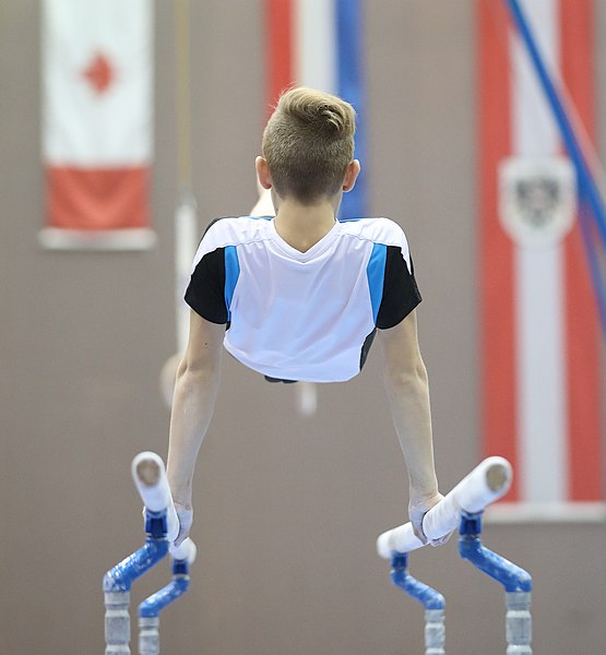 File:Austrian Future Cup 2018-11-23 Training Afternoon Parallel bars (Martin Rulsch) 0398.jpg